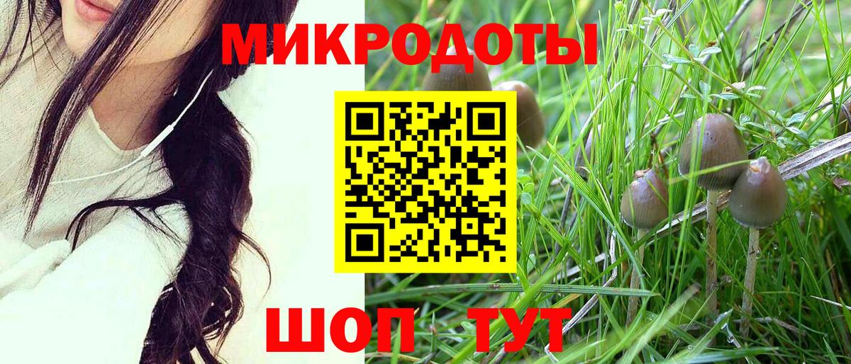 Галлюциногенные грибы MAGIC MUSHROOMS Осинники