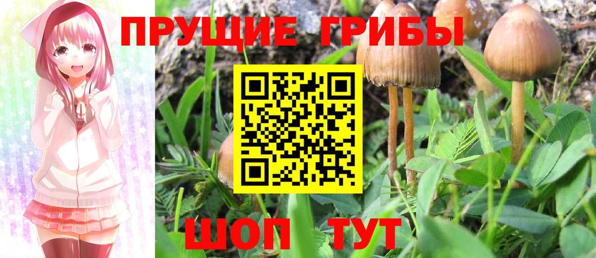 Осинники  Галлюциногенные грибы мухоморы  Вход с VPN 