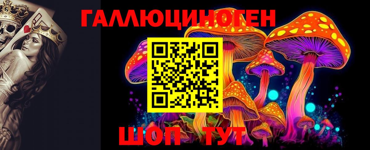 Осинники  Гашиш  Вход с VPN  МЕТАМФЕТАМИН  A PVP СК   Магазин наркотиков  Мефедрон   Конопля  Cocaine 